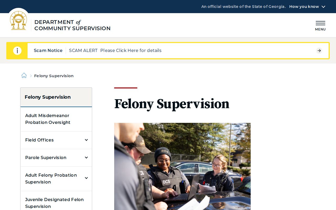 Georgia DCS felony supervision for released Pickens County people